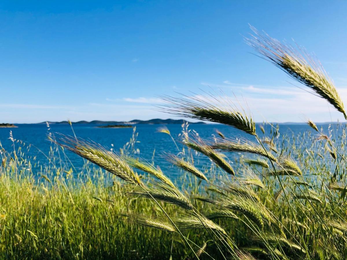 Ecobeachvilla Buqez 9 Pakoštane Exteriör bild