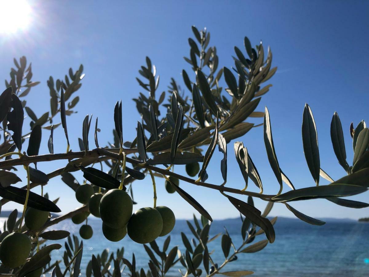 Ecobeachvilla Buqez 9 Pakoštane Exteriör bild
